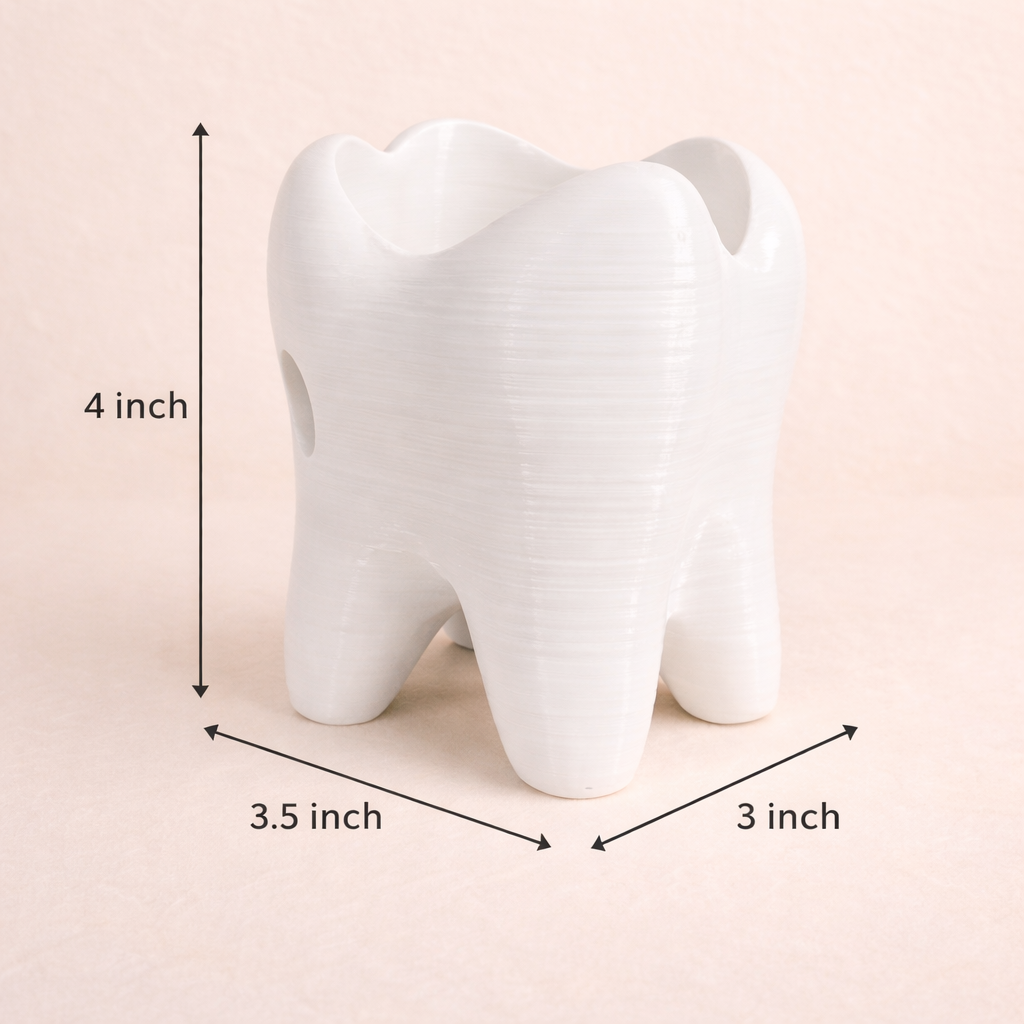 Kids Toothbrush Holder – Cute Tooth Shaped Bathroom Organizer | Baby Toothbrush Stand & Kids Bathroom Decor
